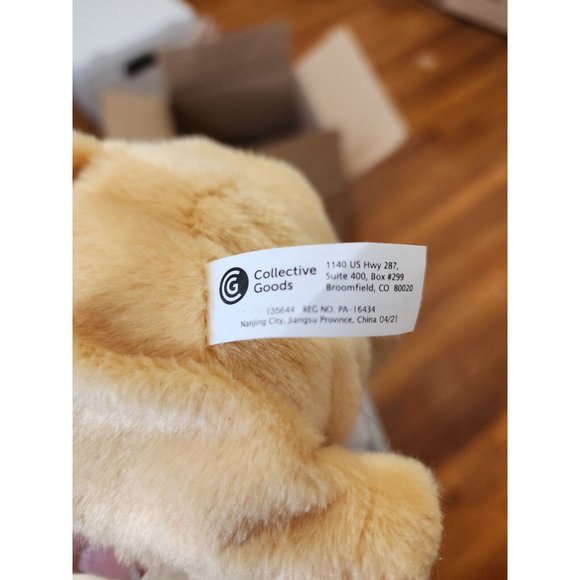 Dancing Singing Chihuahua Dog Macarena Song Walks Shakes Sombrero works great - Picture 5 of 7